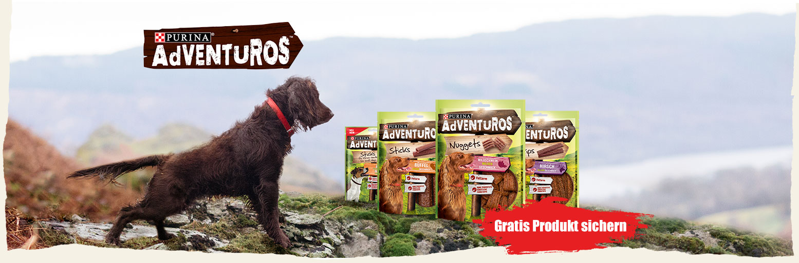 Gratisproben Nuggets für den Hund Sparportal