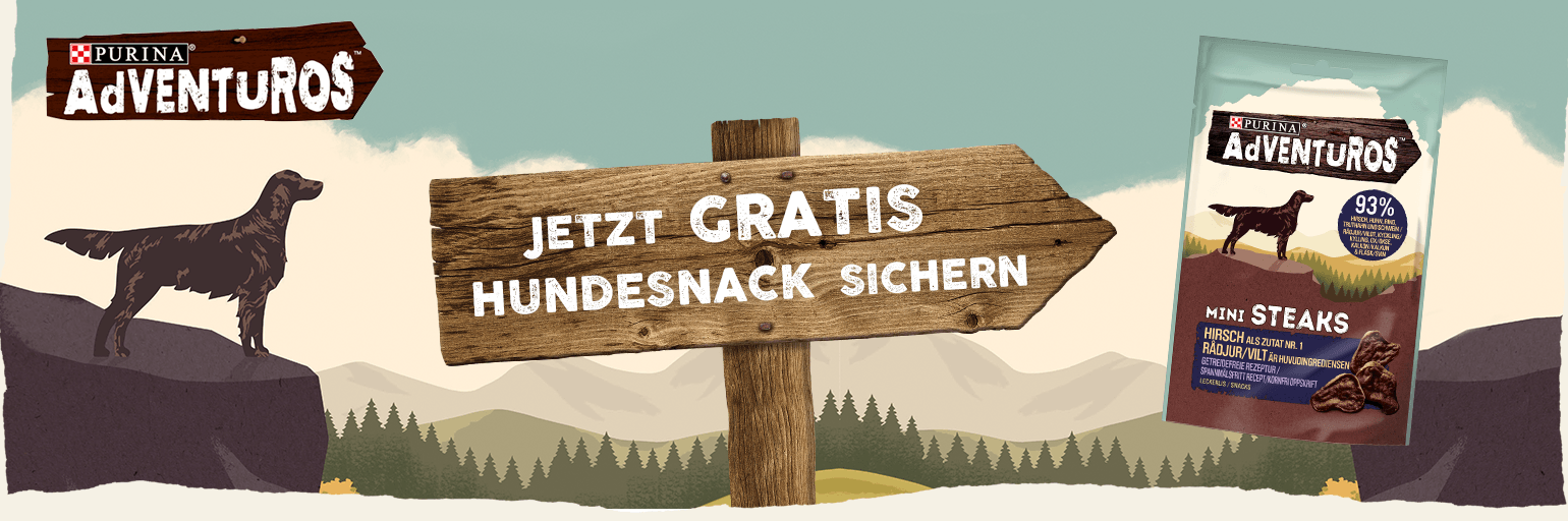 Gratisproben Snacks für den Hund Sparportal